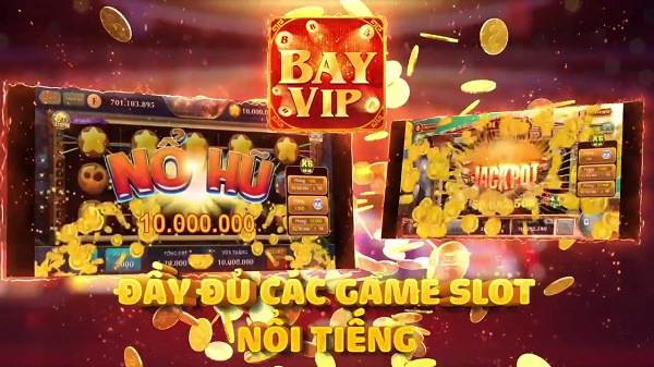 BayVip.Vin