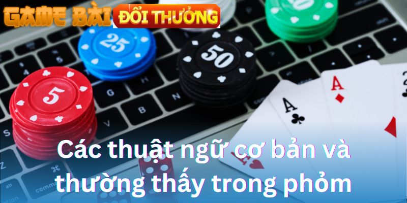Các thuật ngữ cơ bản và thường thấy trong phỏm